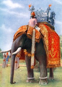 ベンガル地方の主な祭りに参加した雄大な象（1922年、インド 作： L Barber