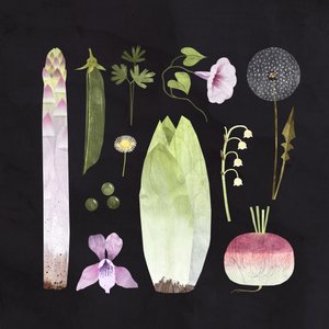 野菜と花、2023年（デジタル） 作： レア・ル・ピヴェール