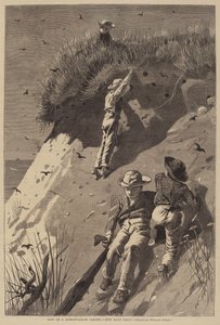 砂ツバメの群れ襲撃「卵はいくつ？」 作： Lagarde after Winslow Homer
