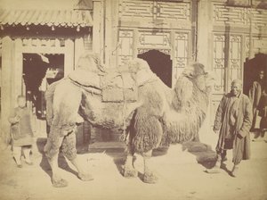 北京。 の。 ９２３、 １８６７。 作： Lai Fong.