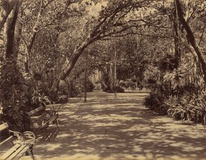 Sukh-Vilas Palace Gardens、1880–90。 作： Lala Deen Dayal