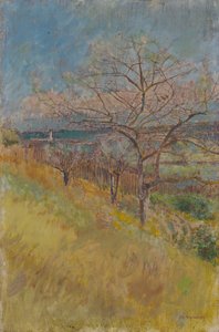 1890年から1900年に開花した木々のある谷 作： Laszlo Mednyanszky