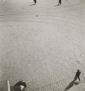 無題、1920年頃（ゼラチンシルバーコンタクトプリント） 作： Laszlo Moholy Nagy