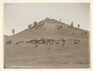 1900年頃、丘の上で小さな集団を作っていた。 作： Laton Alton Huffman