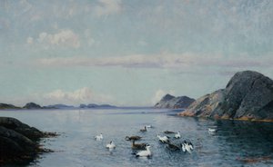 海鳥がいる南海岸 作： Lauritz Haaland