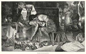 長子の死：エジプトの10の災いの最後（リトグラフ 作： Lawrence (after) Alma Tadema