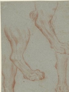 2 つのライオンの足の学習シート 作： Leandro Bassano