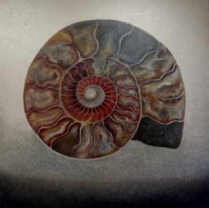 シルバー・アンモナイト、2024年（キャンバスに油彩） 作： Lee Campbell