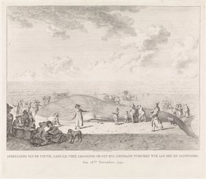 ザントフォールトのビーチに打ち上げられたナガスクジラ 1791 年 11 月 18 日、Wyk aan Zee と Zandvoord の間で座礁した Vin-Vis (...) の画像 (オブジェクトのタイトル)