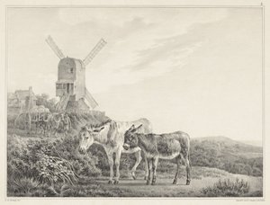 工場の近くの風景にある2人のロバ L. de Koninghによる6つの石の絵（シリーズタイトル）