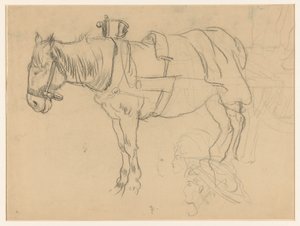 ハーネス馬と頭の研究