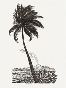 『島のあるヤシの木』（1891年頃～1941年）