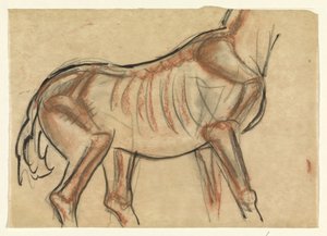 馬の骨格 作： Leo Gestel