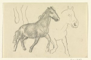 2 つの実行中の馬