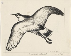 飛ぶ鳥 作： Leo Gestel