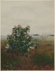  作： Léon Bonvin
