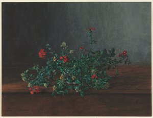 野の花のある静物