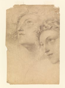 2 つの女性の頭