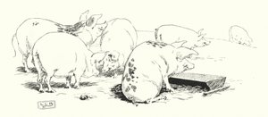 長尾の豚、短尾の豚(彫金) 作： Leonard Leslie Brooke