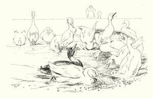 ダム、あなたのアヒルを死なせるもの（刻印 作： Leonard Leslie Brooke