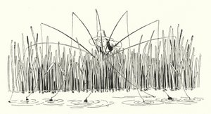 最初の行のインデックス（彫刻 作： Leonard Leslie Brooke