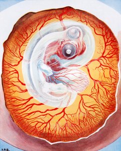  作： Leonard Robert Brightwell