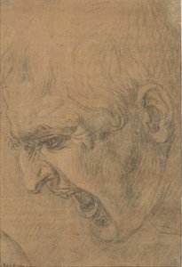 叫ぶ男の頭 作： Leonardo da Vinci (follower of)