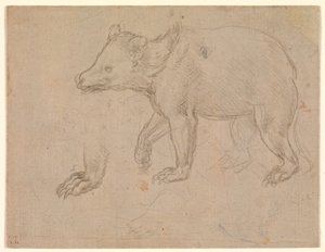 歩くクマ 作： Leonardo da Vinci