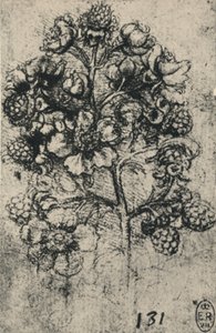 しぶきのスプレー、c1480 1945 作： Leonardo da Vinci