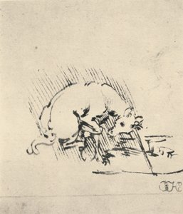 ホーンを水に浸すユニコーン、c1480 1945 作： Leonardo da Vinci
