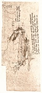 地中海を表す地図、c1472-c1519 1883