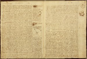 コーデックスレスターのページ、1508-12（リネン紙にセピアインク） 作： Leonardo da Vinci