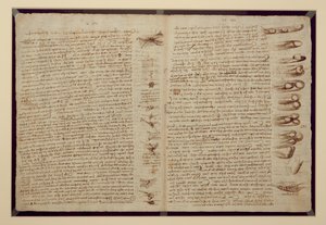 コーデックスレスターのページ、1508-12（リネン紙にセピアインク） 作： Leonardo da Vinci