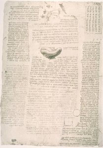 アナトミエステン 作： Leonardo da Vinci