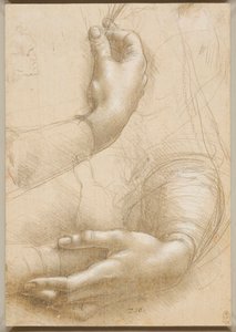 腕と女性の手c。 1480。 作： Leonardo da Vinci