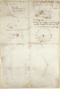 Arundel 263, f.126v 水に関する 3 つのメモとスケッチ。 鳥の飛行図、c.1500-5（紙にペンとインク） 作： Leonardo da Vinci