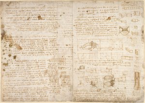 Arundel 263, f.223 「Codex Arundel」のメモ、図表、スケッチ (紙にペンとインク) 作： Leonardo da Vinci
