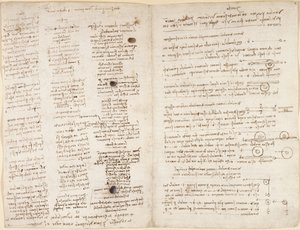 Arundel 263, f.42v, f.43 「コデックス アランデル」からのレオナルドの予言 (「Profetie」) の短いテキスト (紙にペンとインク) 作： Leonardo da Vinci