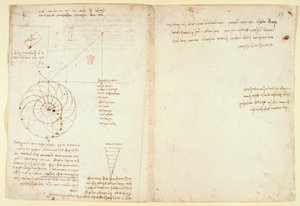Arundel 263 f.44v、f.59 横顔の目と鼻のスケッチ。 「Codex Arundel」の水に関するメモ (紙にペンとインク) 作： Leonardo da Vinci
