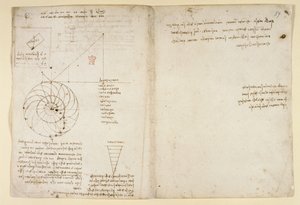Arundel 263、f.44v、f.59 横顔の目と鼻のスケッチ。 「Codex Arundel」の水に関するメモ (紙にペンとインク) 作： Leonardo da Vinci