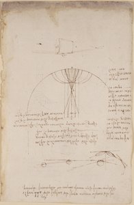 Arundel 263、f.85 反射のコースティクスに関する光学系の図。 パーカッションの力に関して、またアリストテレスの原則 
