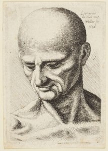 ハゲの男 作： Leonardo da Vinci