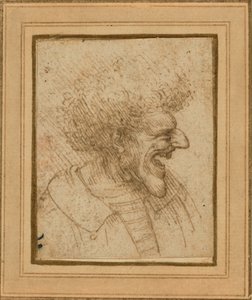 ふさふさ髪の男の風刺画 作： Leonardo da Vinci