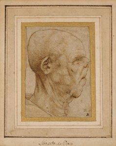 右の横顔の老人の頭の似顔絵、c.1507 作： Leonardo da Vinci