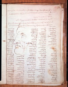 レオナルド・ダ・ヴィンチ（Leonardo da Vinci）（1452 - 1519）のトリヴルツィアーノ写本 - ミラノのトリヴルツィアーナ図書館 作： Leonardo da Vinci