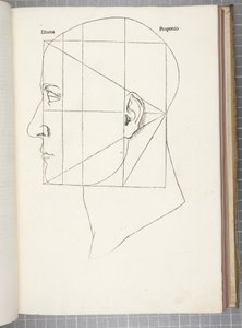 神の割合 作： Leonardo da Vinci