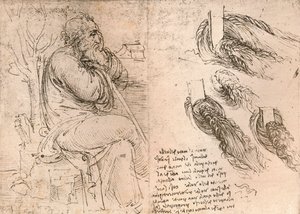 カールで落ちる髪の描写を示す図、c1472-c1519 1883 作： Leonardo da Vinci