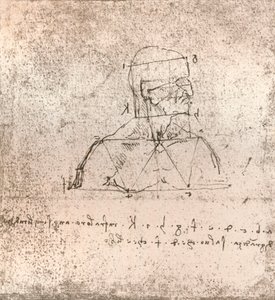 人物の比率の理論を説明する図、c1472-c1519 1883 作： Leonardo da Vinci