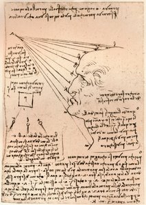絵の練習を描いた男性の頭の絵、c1472-c1519 1883 作： Leonardo da Vinci