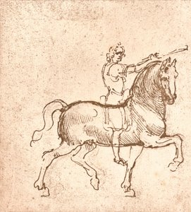 歩く馬の絵、c1472-c1519 1883 作： Leonardo da Vinci
